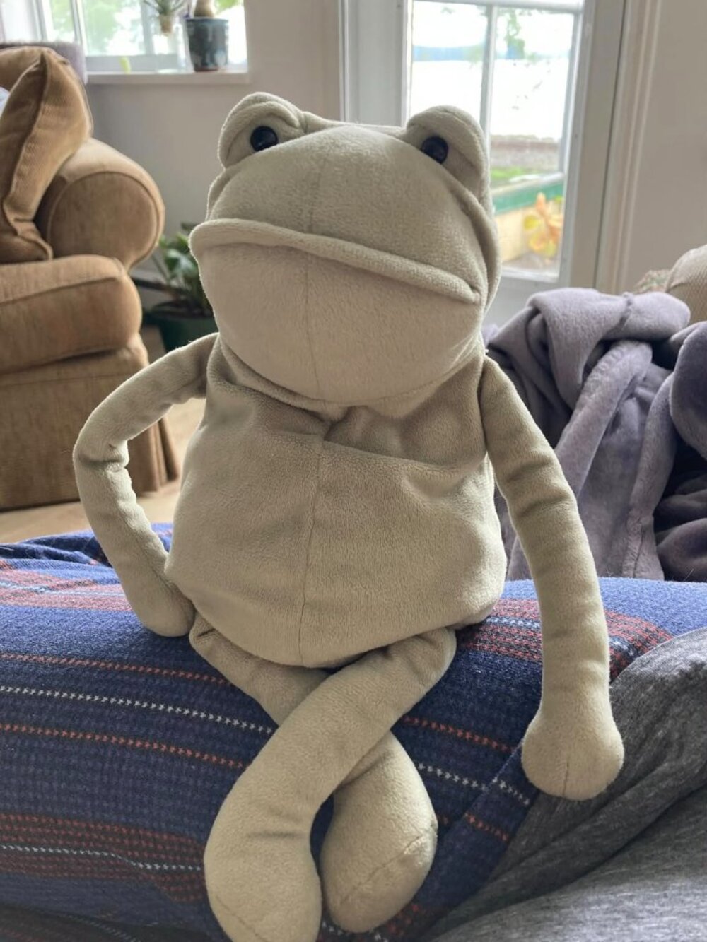Jellycat Fergus Frog Authentic